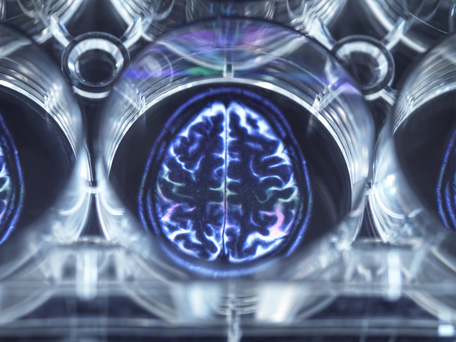 Ejercita tu cerebro con natación